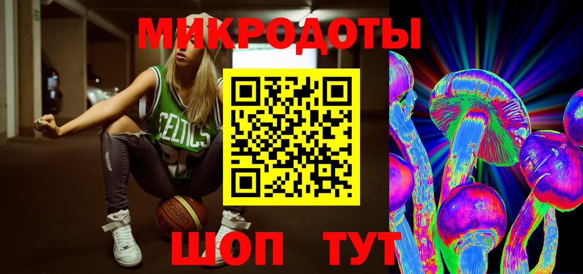 Карасук  Галлюциногенные грибы Psilocybine cubensis  Вход с VPN 